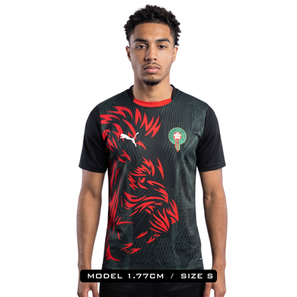 Morocco Lion Black
